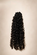 Vietnamese Burmese Curly